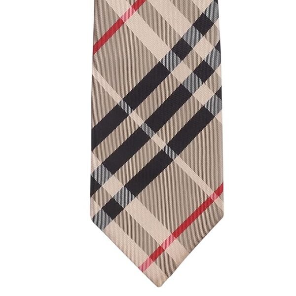 RegalKnot Tie Well Formed Beige Colored Microfiber Necktie For Men - Image 2